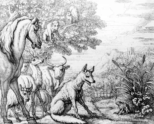 Der ehrgeizige Frosch, Illustration aus 